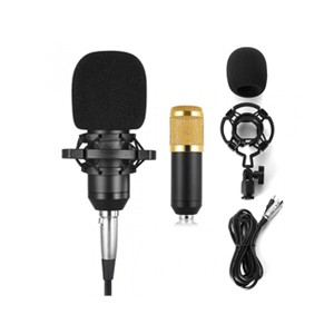 BM800 Condenser Microphone